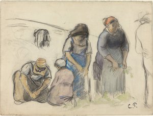 Cosechadores de guisantes [recto], c. 1880 de Camille Pissarro