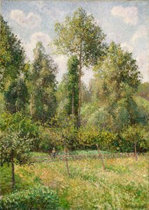 Álamos, Éragny de Camille Jacob Pissarro