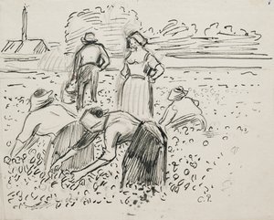 Estudio de cinco campesinos trabajando en un campo