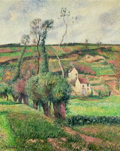 Las laderas de coles, Pontoise de Camille Jacob Pissarro