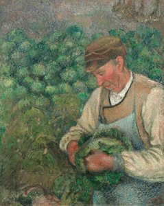 El jardinero - Viejo campesino con repollo de Camille Pissarro