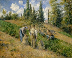 La cosecha, Pontoise
