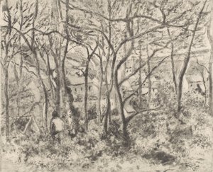 Los bosques en L