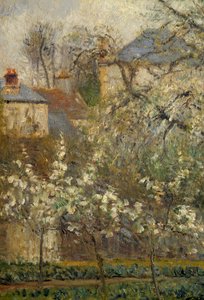Huerto y árboles en flor en primavera en Pontoise de Camille Jacob Pissarro