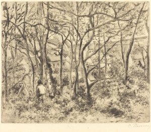 Paisaje boscoso en L