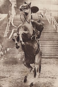 Vaquero controlando a un caballo encabritado (foto en b/n)