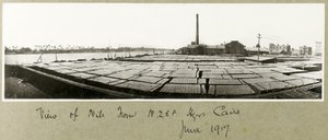 Vista del Nilo desde la sede de N.Z.M.F.A., El Cairo, junio de 1917