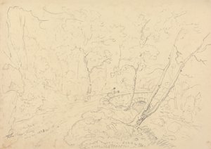 Puente y río Holne Chase, 30 de mayo de 1833 de Capt. Thomas Hastings