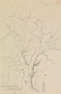 En la carretera de Newport, 12 de febrero de 1826 de Capt. Thomas Hastings