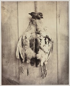 Perdices recto, tumba de L.D. Campbell verso, c. 1861 de Captain N. Baily