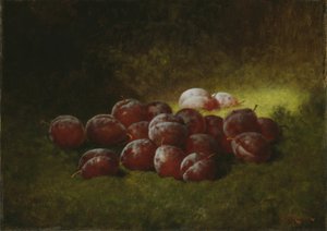 Ciruelas moradas de Carducius Plantagenet Ream