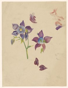 Estudio floral de Carel Adolph Lion Cachet