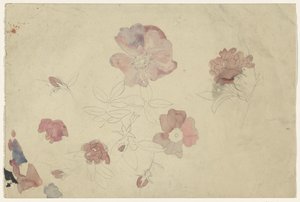 Estudios florales en púrpura y rosa de Carel Adolph Lion Cachet