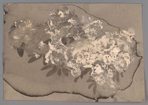 Bouquet de Carel Adolph Lion Cachet