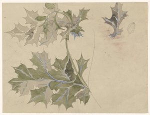 Hojas de cardo de Carel Adolph Lion Cachet