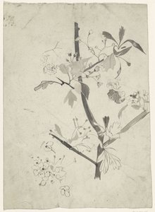 Rama con flor de Carel Adolph Lion Cachet