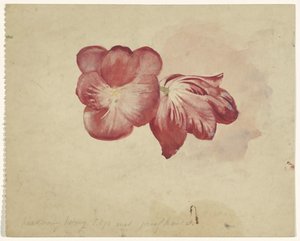 Dos tulipanes rojos de Carel Adolph Lion Cachet