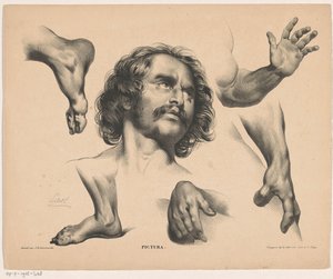Cabeza de hombre, pies, manos y brazos. Pictura (título de la serie sobre el objeto) de Carel Christiaan Antony Last