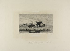 Banco de Escaut de Carel Nicholaas Storm van Gravesunde