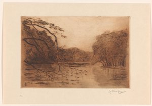 Estanque en el bosque de La Haya de Carel Nicolaas Storm van 