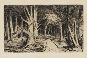 Sendero del bosque de Carel Nicolaas Storm van s Gravesande