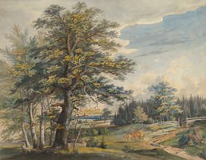 Paisaje Boscoso con Ciervo