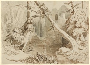 Una iglesia en ruinas en el bosque