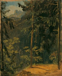 Camino forestal en el Harz