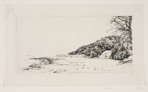 La ladera junto al mar de Carl Bloch