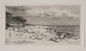 Costa rocosa de Carl Bloch