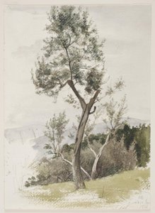 Árboles en una ladera de Carl Bloch