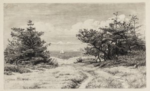 Vista al mar de Carl Bloch