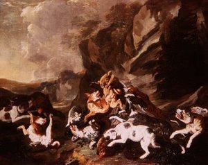 Pelea de perros