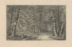 Bosque de hayas de Carl C. Brenner