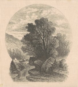 Pequeña cascada