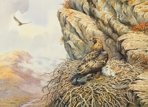 Águilas Reales en el Nido de Carl Donner