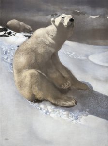 Oso polar de Carl Ederer