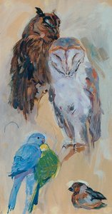 Estudio sobre animales de Schönbrunn de Carl Fahringer