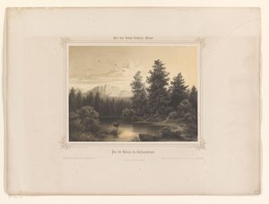 Vista de un agua en Salzkammergut Flus der Gossau im Salzkammergut (título sobre el objeto) Álbum presentado a Luis I de Baviera (título de la serie) Álbum de König-Ludwig (título de la serie) de Carl Friedrich Würthle