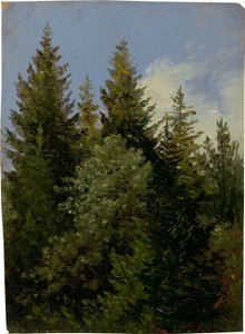 Primera de Carl Gustav Carus