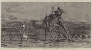 Felicidad en el desierto de Carl Haag