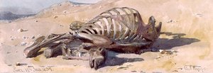Los huesos de un camello, Suez