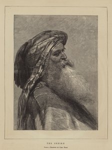 El jeque