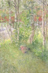 Una siesta al aire libre de Carl Larsson