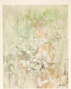Kallor de Carl Larsson