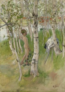 Niño Desnudo entre Abedules, 1898
