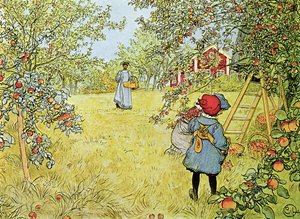 La cosecha de manzanas