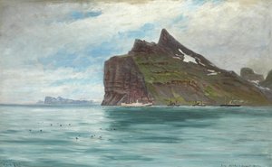 Vista desde el Cabo Norte, Islandia, del Viaje Real Danés de 1907 con el vapor SS Birma de Carl Locher