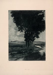 álamos negros de Carl Maria Thuma