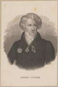  de Carl Mayer